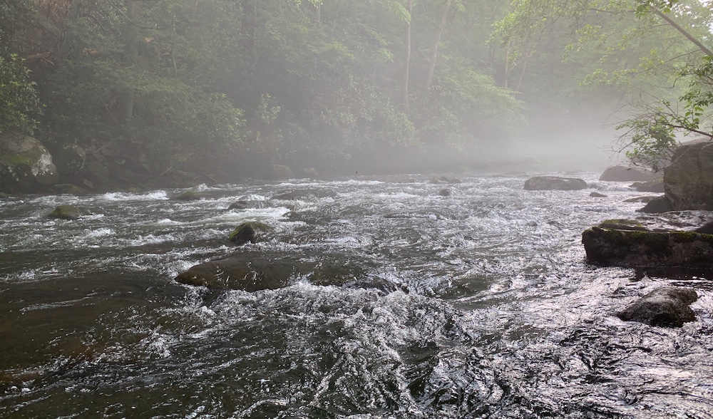 The Ninja, Dry-Dropper rigs, Brown Trout, and the&nbsp;Savage…