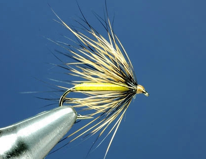 Elegant Flies by Jean paul&nbsp;Dessaigne