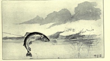 Hatchery Fish May Hurt Efforts To Sustain Wild Salmon&nbsp;Runs