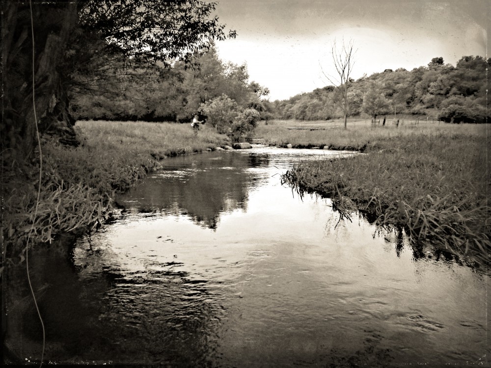 Fishing in the Driftless Region of&nbsp;Wisconsin