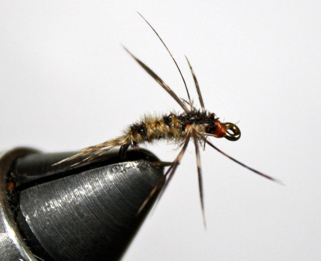 turkey mallard grouse sulphur nymph