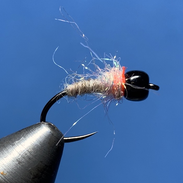 Coulee Killer – Evolution of a&nbsp;Fly