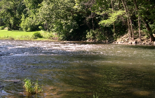 Little Juniata Riffle