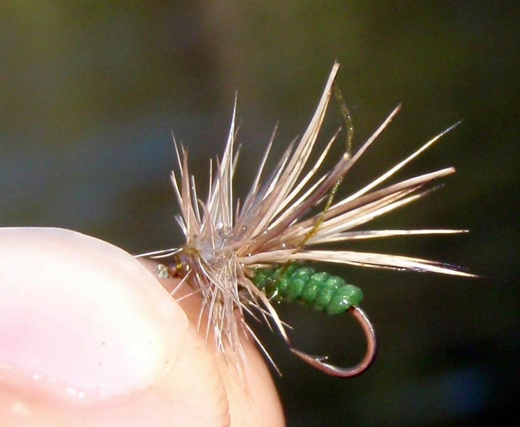 Trip Report: PA’s Spring Creek, Sept. 18-19,&nbsp;2009