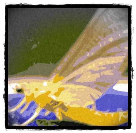 Daily Fly Fishing Poem #10: Ephemerella&nbsp;Invaria