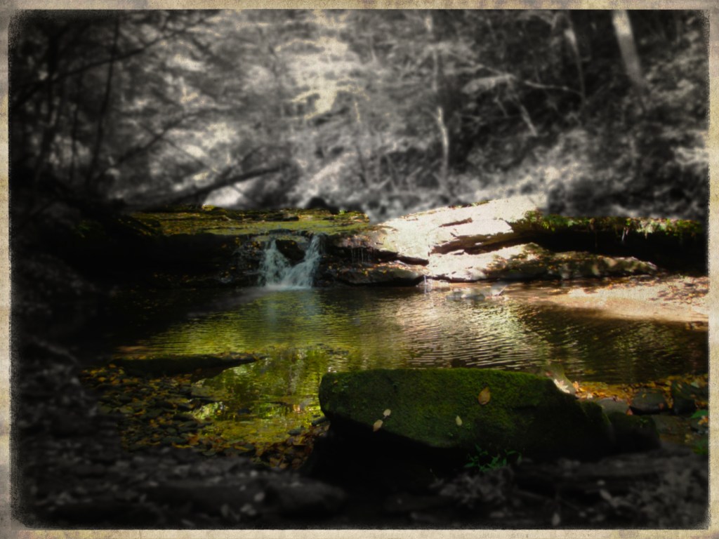 More Autumn Small Stream&nbsp;Fishing