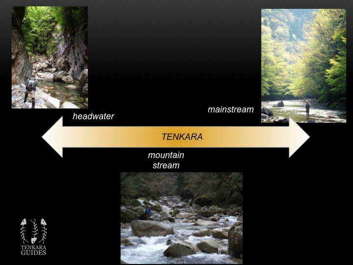 Fig 2 The Spectrum of Tenkara