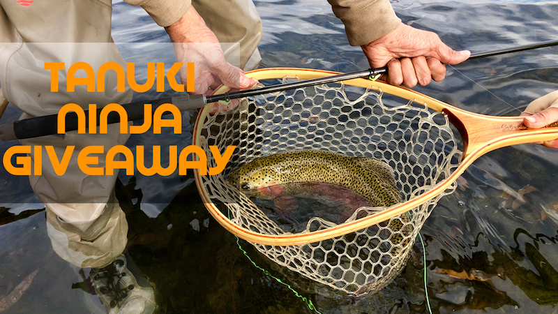 Tanuki Ninja Rod&nbsp;Winners