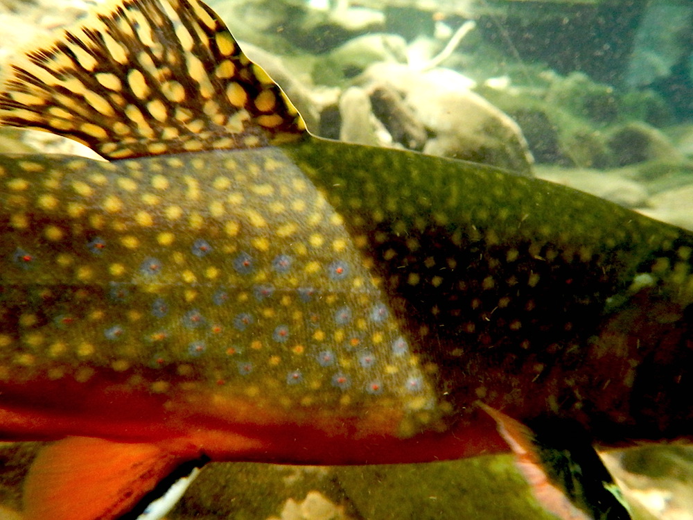 A good day&nbsp;unravels…