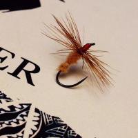 10712951_723660041046662_3743437164248539511_n