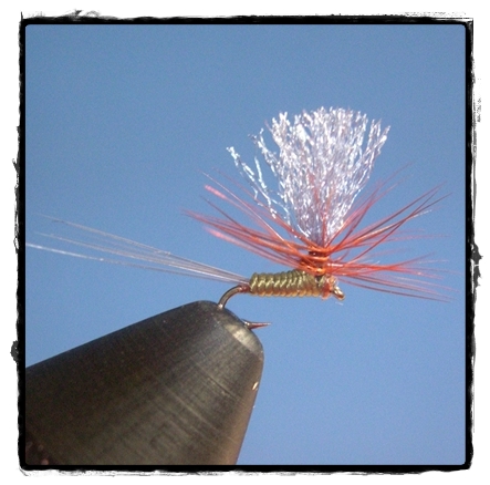 The Traitor: A Parachute Style for Small&nbsp;Flies