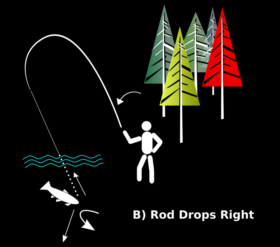 Fig 8 Rod Drops Right