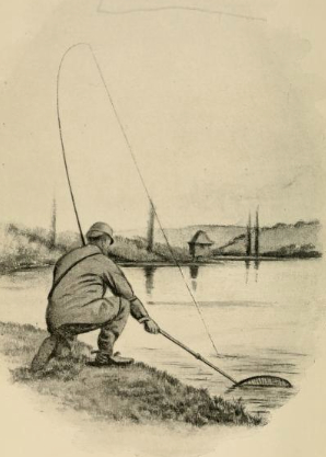 Whirling disease researchers optimistic about Montana’s&nbsp;trout