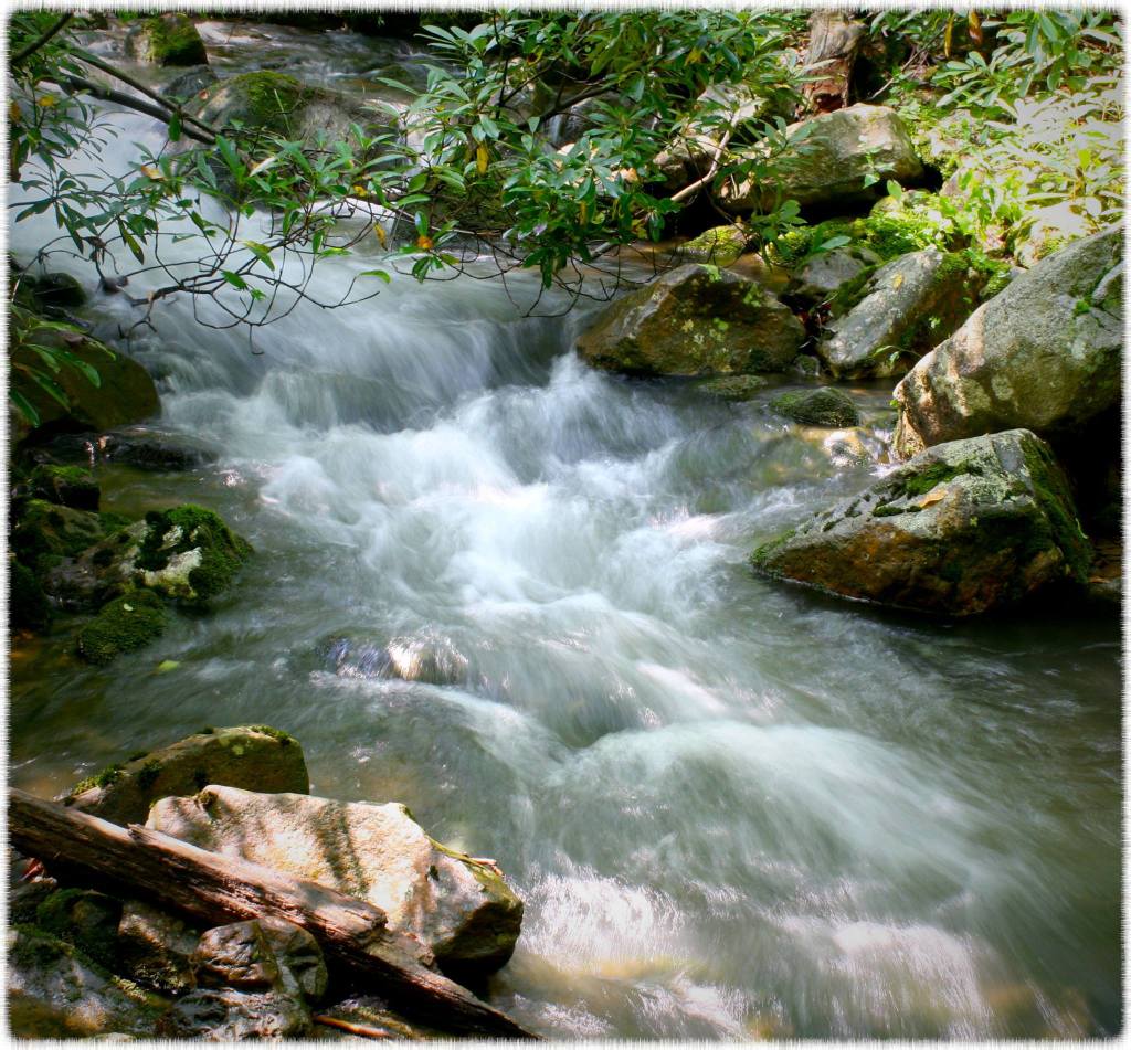 Daily Fly Fishing Poem #1: When She&nbsp;Wakes