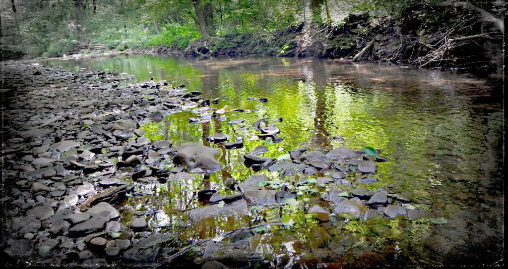 One-Fly Season Day 11: June 3, 2013 – A small Stream in Central&nbsp;PA