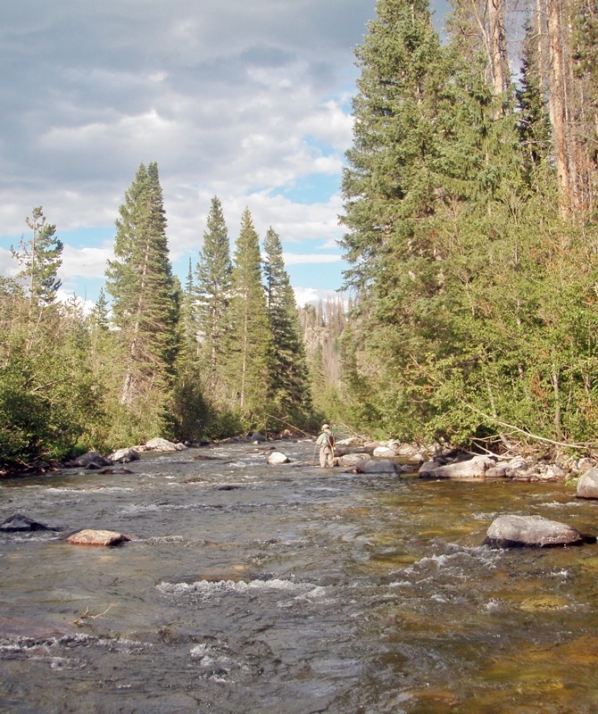 Tenkara on the Elk River,&nbsp;CO