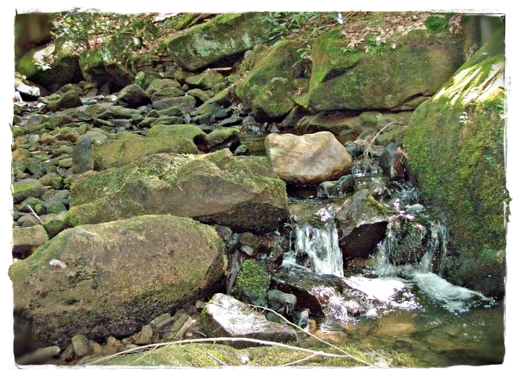 More Small Stream Tenkara: Some musing and a few practical ideas for small stream&nbsp;tenkara