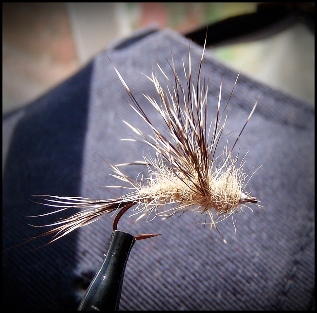 Woodchuck, or is it&nbsp;Groundhog?