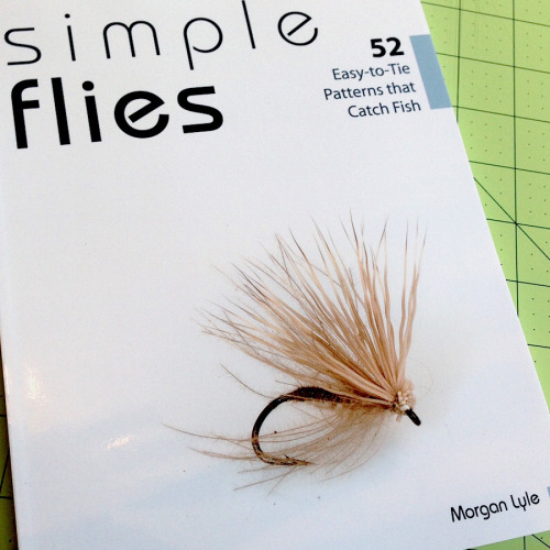 Q&A with Morgan Lyle author of Simple&nbsp;Flies
