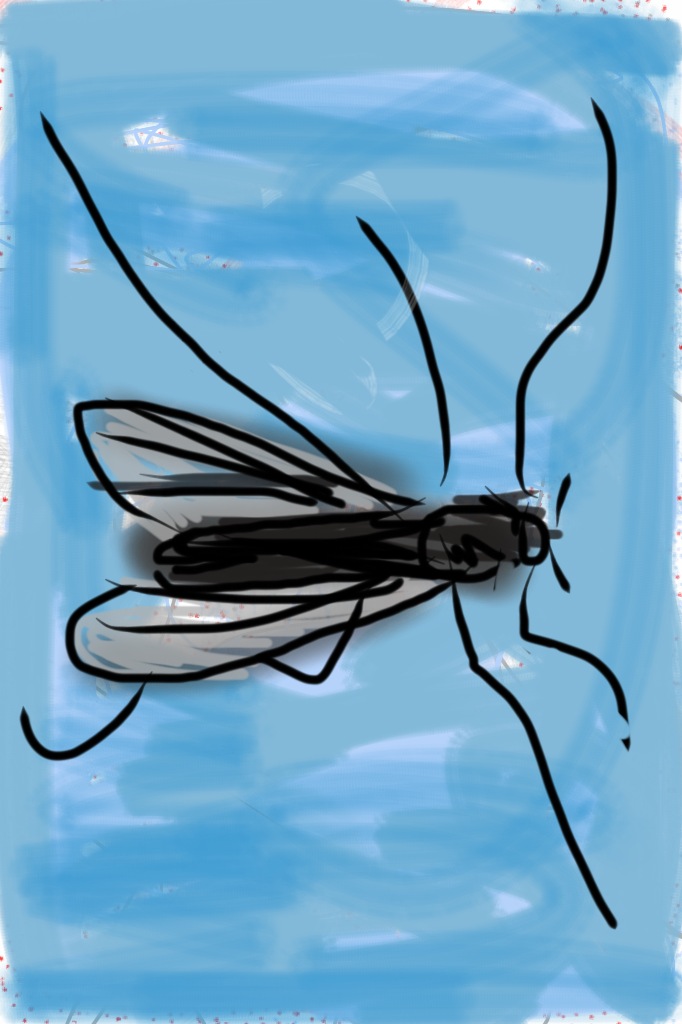 Daily Fly Fishing Poem #13: The Sound of&nbsp;Defeat