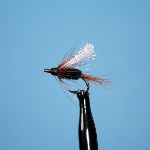 Pass Lake Wet Fly