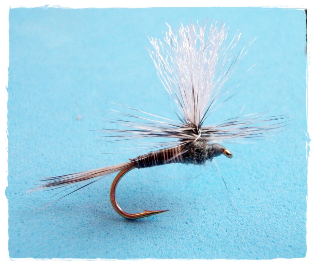 Grizzly Quill Paradun