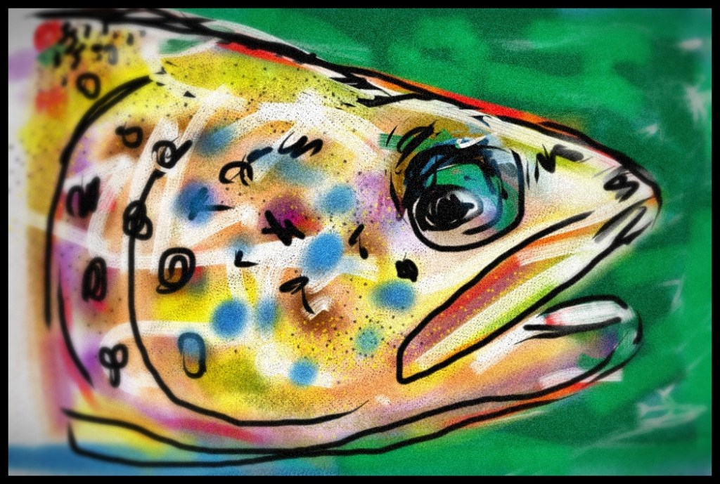 trout_no_2