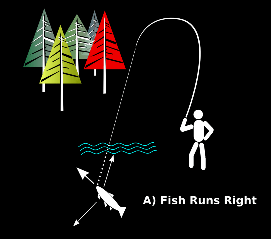 Fig 7 Fish Runs Right
